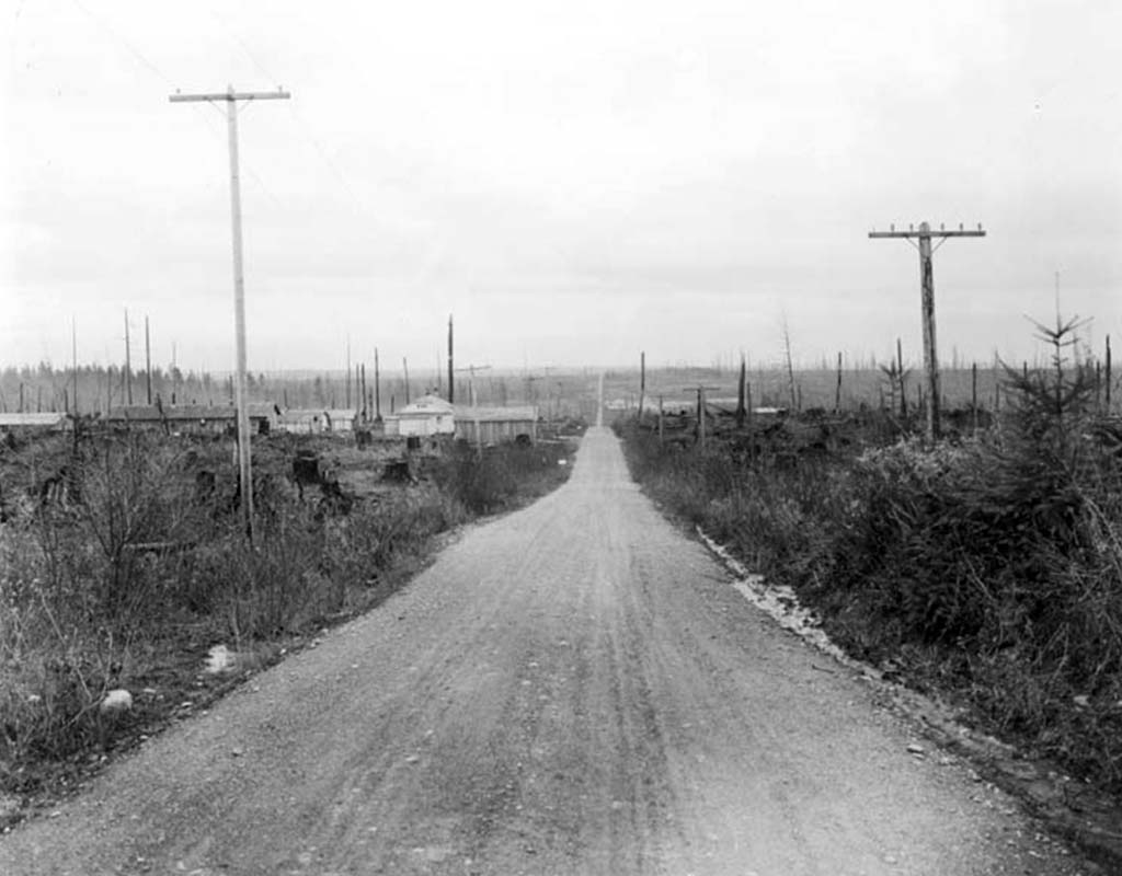 History Of Lynnwood